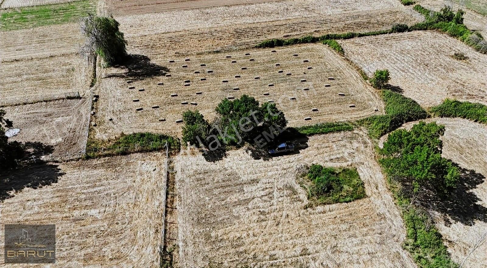 Muğla Menteşe Doğanköyde Satılık Hobi Bahçesi