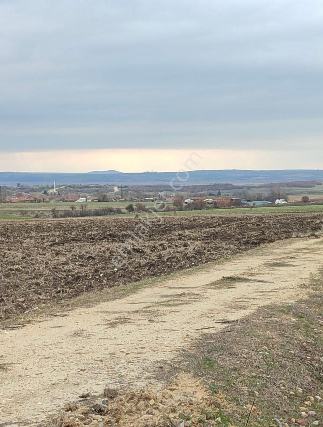 Edirne Meriç Küçükaltıağaç Köyünde 6.525 M2 Tarla