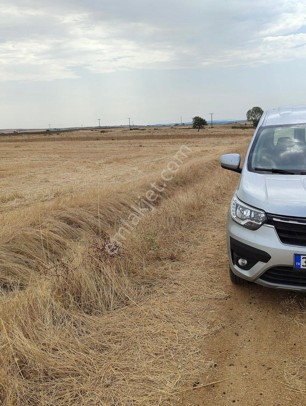 Edirne Meriç Subaşı Beldesi 4.193 M2 Tektapu Tarla