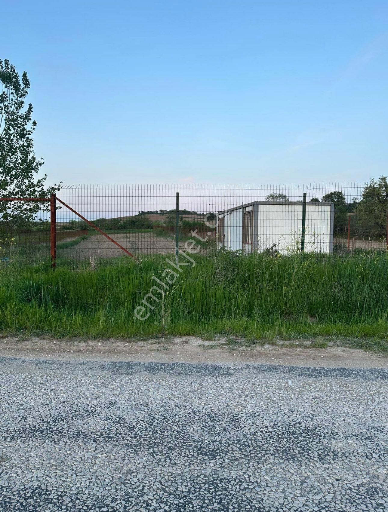 Pehlivanköy Doğanca Asfalt Yola Cephe Konteyner Suyu Olan Tarla