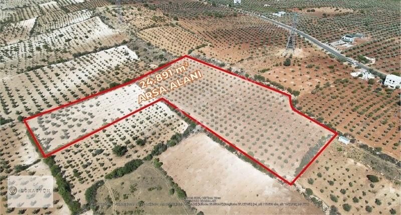 Doğanca'da Satılık 24.890 M² Tarla !