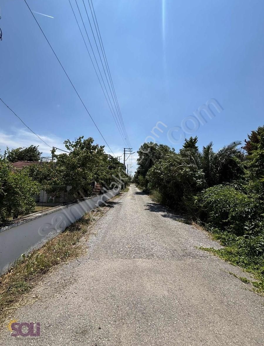 Soli-urla Torasan Denize Yürüme Mesafesinde İmarlı Satılık Arsa - Görsel 14