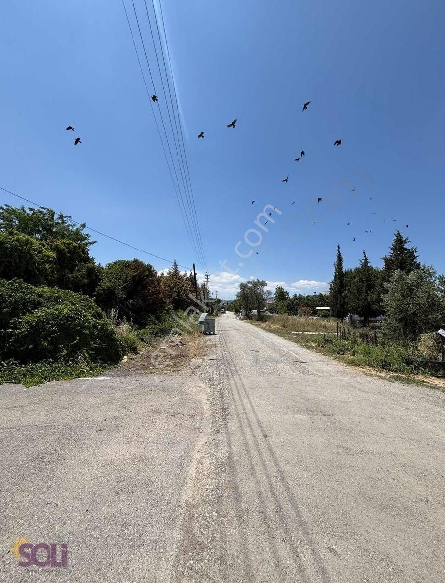 Soli-urla Torasan Denize Yürüme Mesafesinde İmarlı Satılık Arsa - Görsel 7