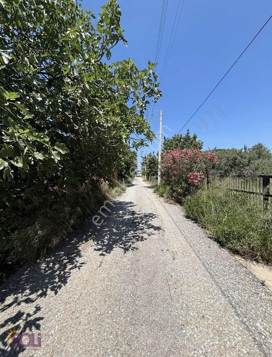 Soli-urla Torasan Denize Yürüme Mesafesinde İmarlı Satılık Arsa - Görsel 15