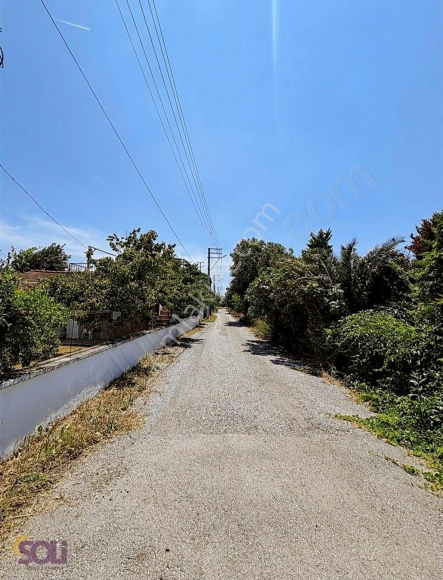 Soli- Urla Torasan Denize Yürüme Mesafesinde İmarlı Satılık Arsa - Görsel 2