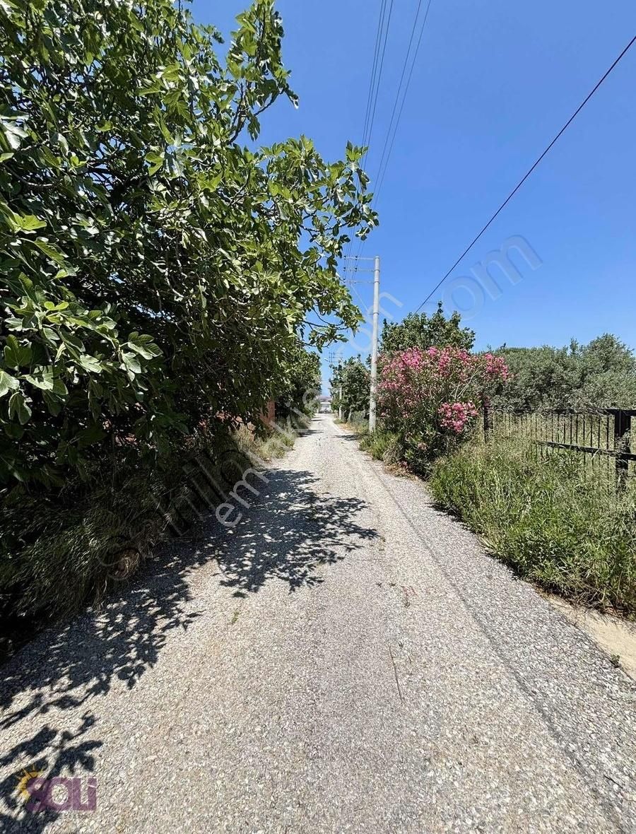 Soli- Urla Torasan Denize Yürüme Mesafesinde İmarlı Satılık Arsa - Görsel 14