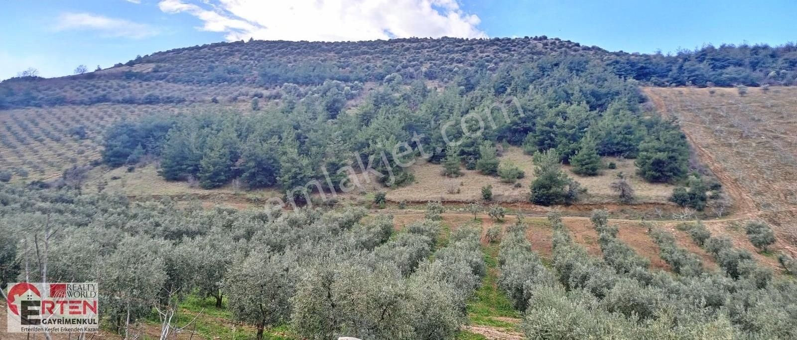 Kestel Çataltepe' De Yatırım Değeri Yüksek Satılık Arazi