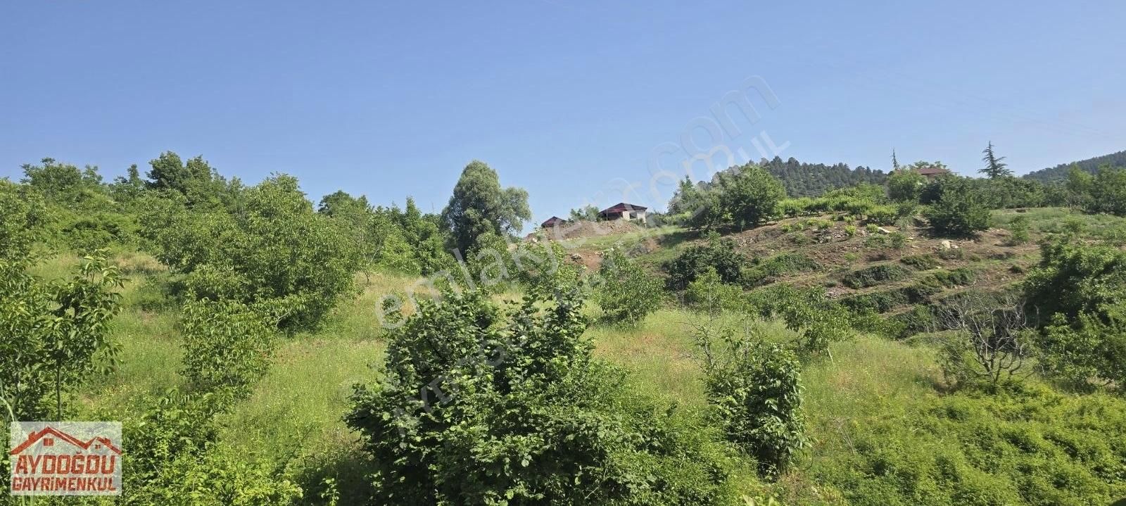 Aydoğdu Gayrimenkulden Karaçoban Yaylasında Satılık Bahçe - Görsel 11