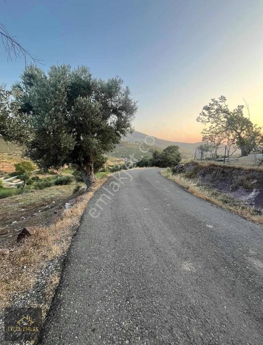 Zeytinlik Anayol Cepheli