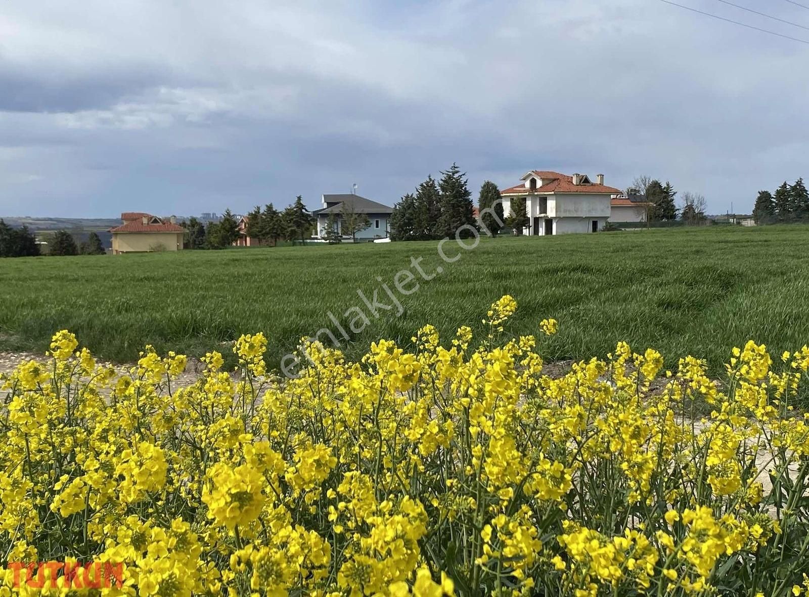 Asfalta Sıfır Yatırımlık - Görsel 8