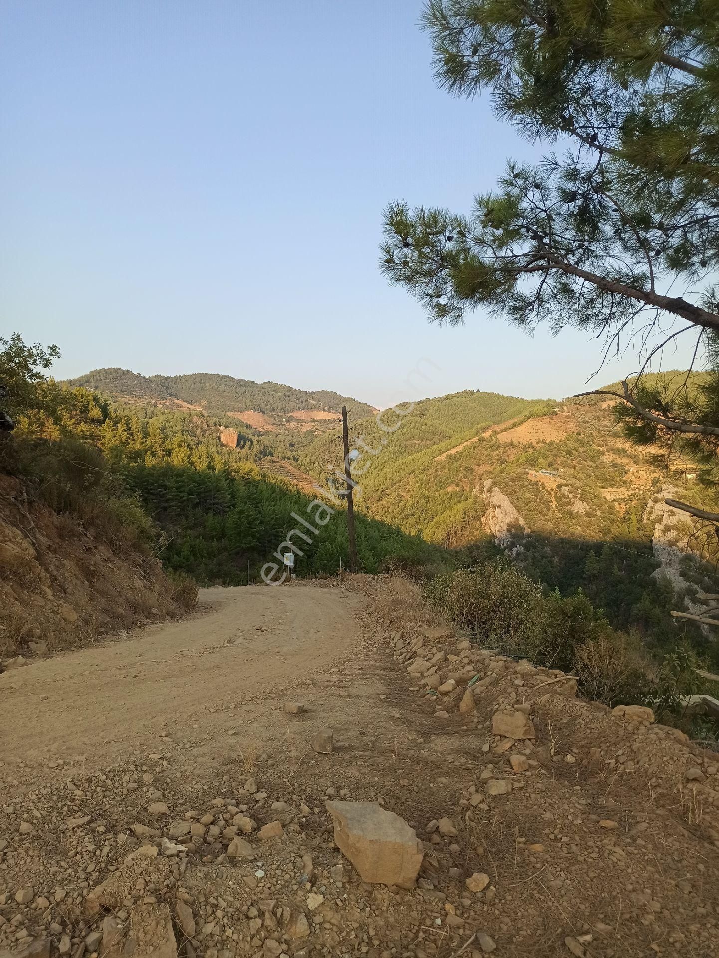 Çamlıca Da Sahibinden 3.8 Dönüm Kupon Tarla