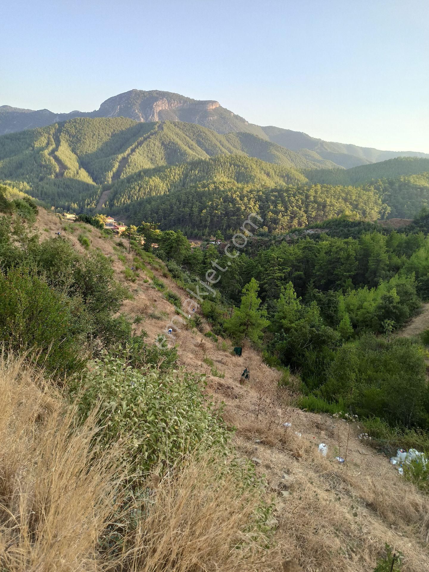 Çamlıca Da Sahibinden 3.8 Dönüm Kupon Tarla - Görsel 16