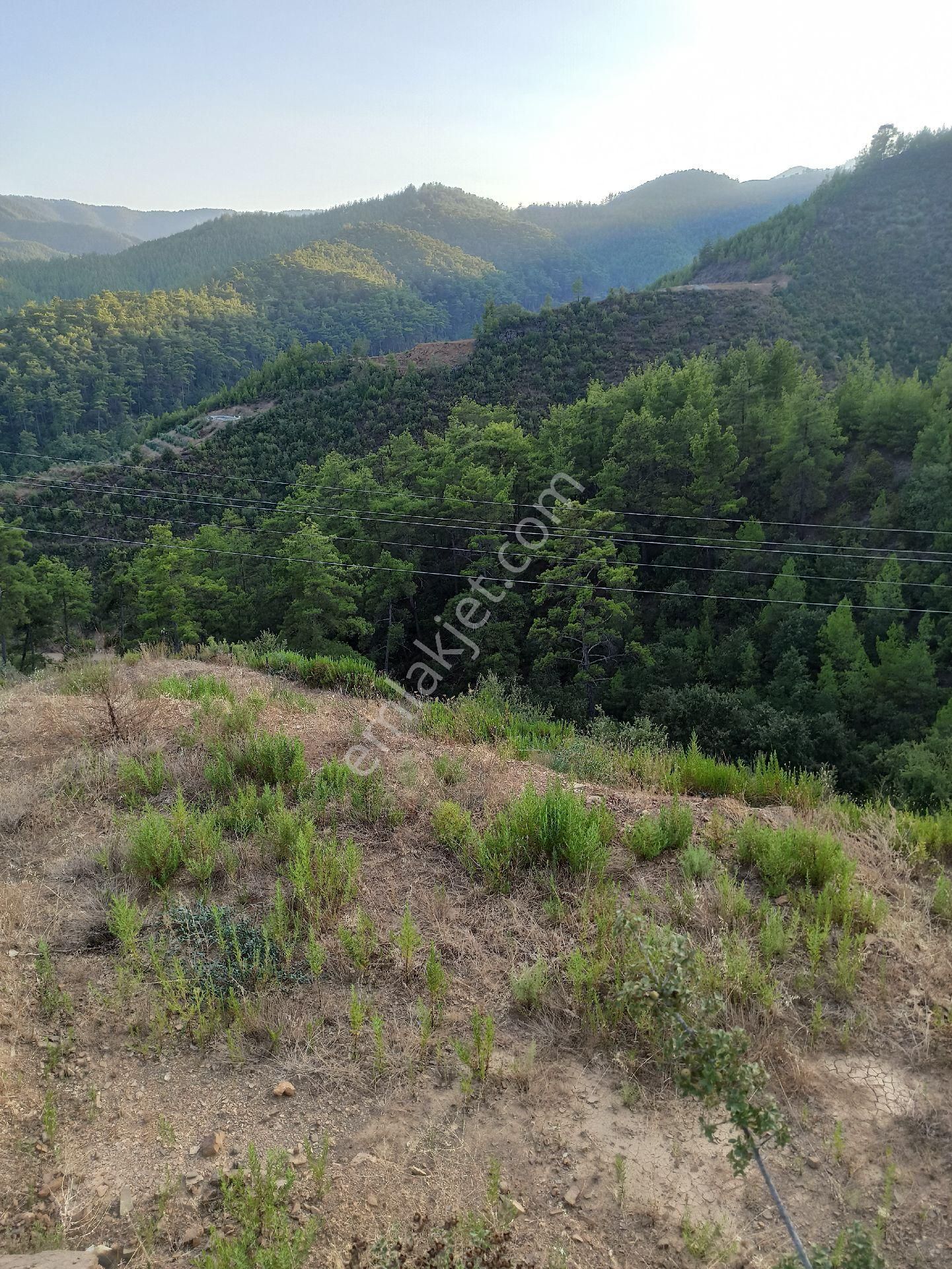 Çamlıca Da Sahibinden 3.8 Dönüm Kupon Tarla - Görsel 10