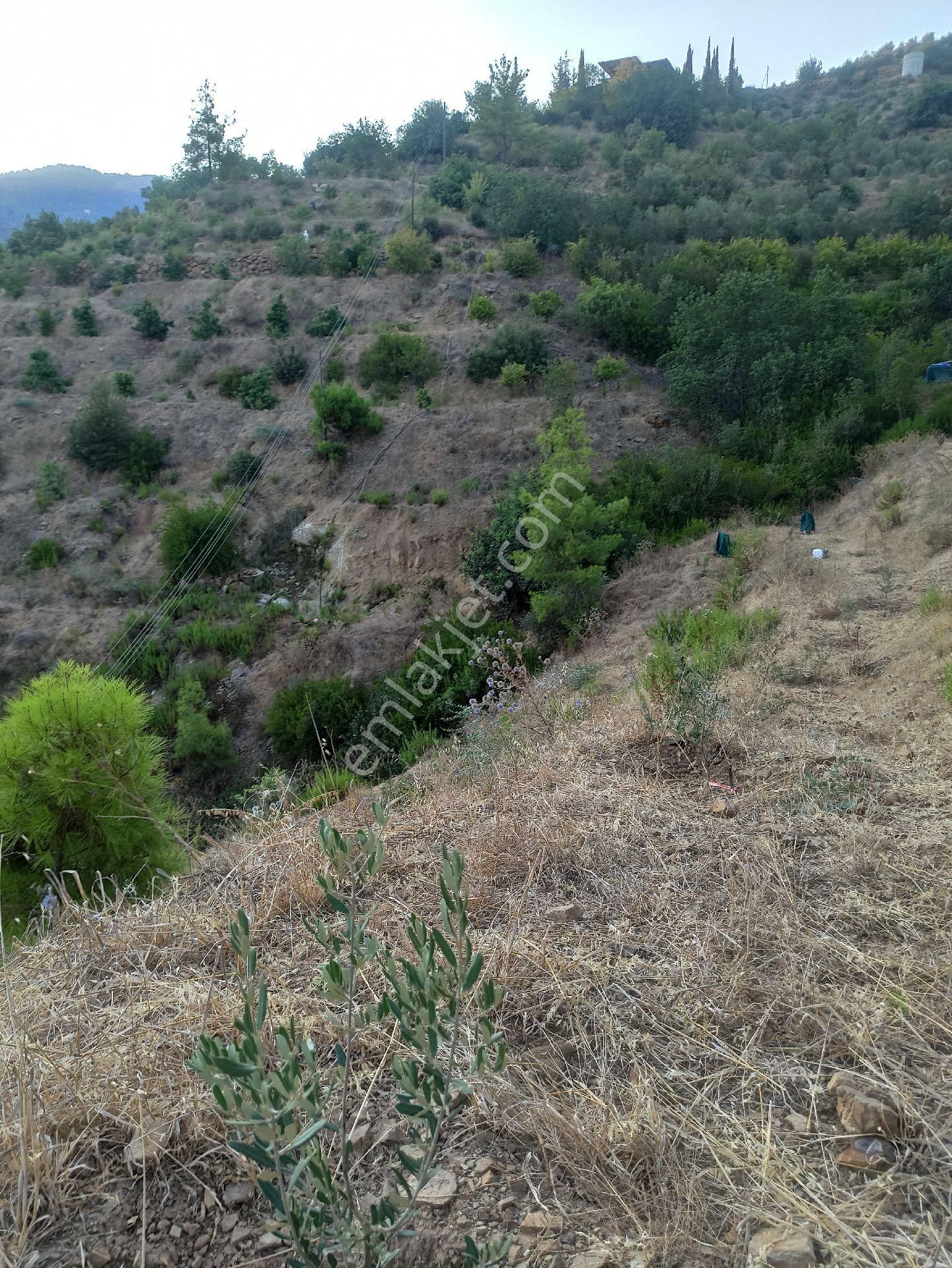 Çamlıca Da Sahibinden 3.8 Dönüm Kupon Tarla - Görsel 12