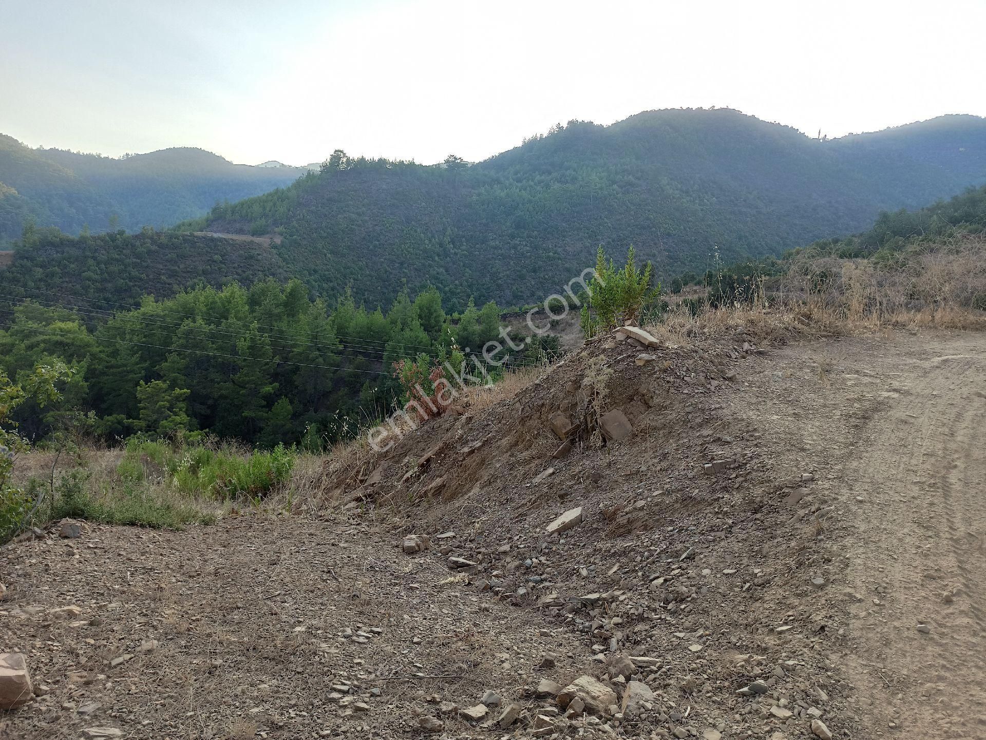 Çamlıca Da Sahibinden 3.8 Dönüm Kupon Tarla - Görsel 9