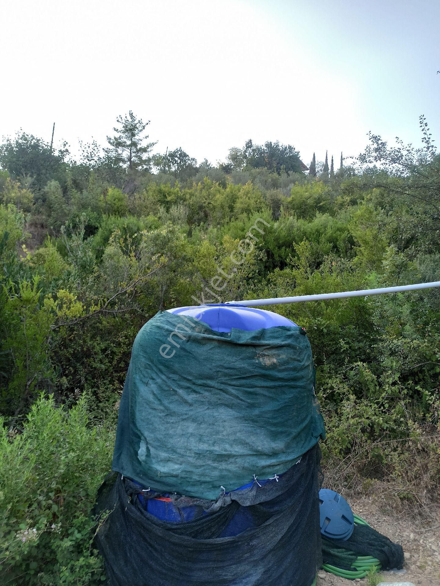 Çamlıca Da Sahibinden 3.8 Dönüm Kupon Tarla - Görsel 14