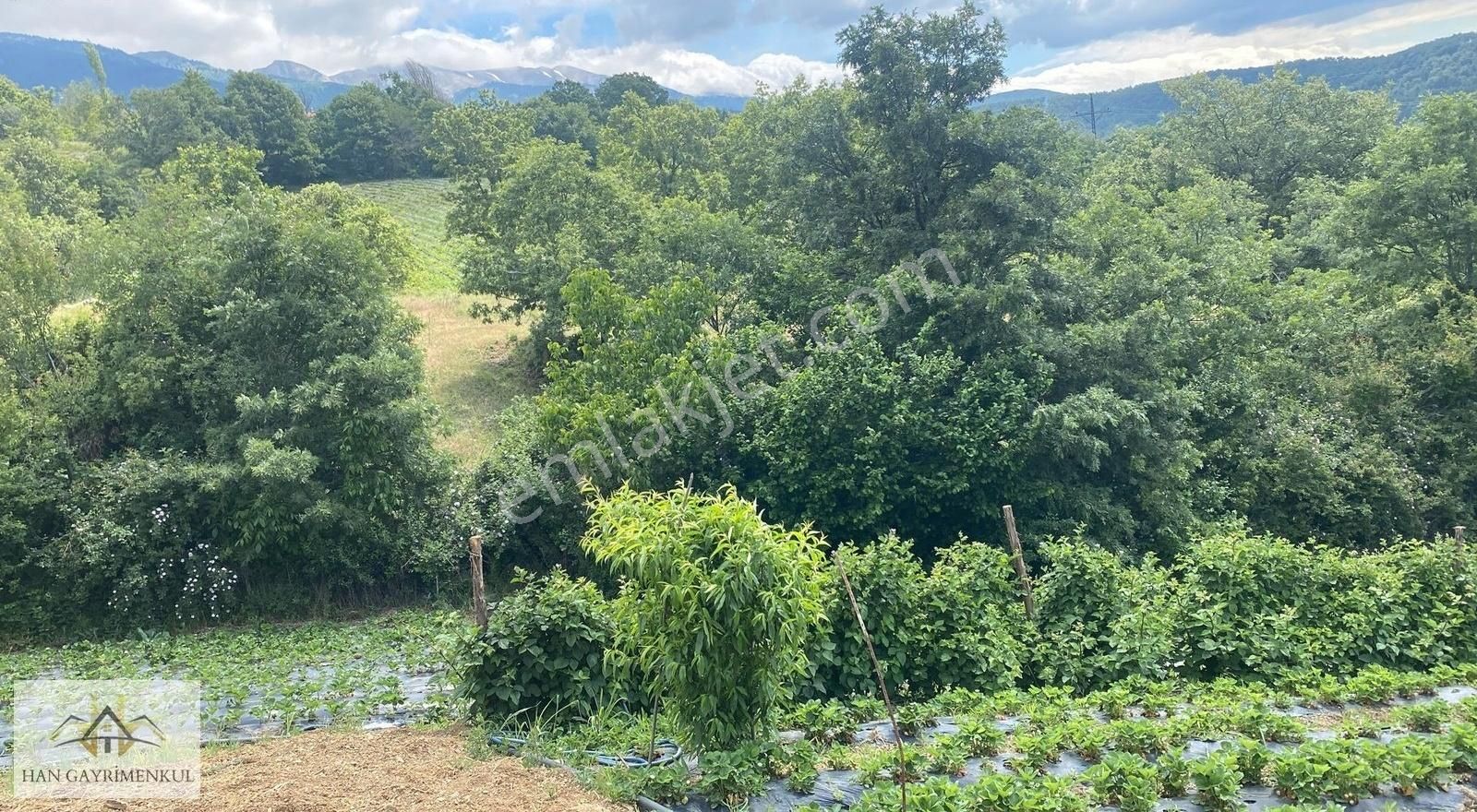 Han Gayrimenkul'denuludağ Bağlı'da Köy İçi 320 M2 Bahçe