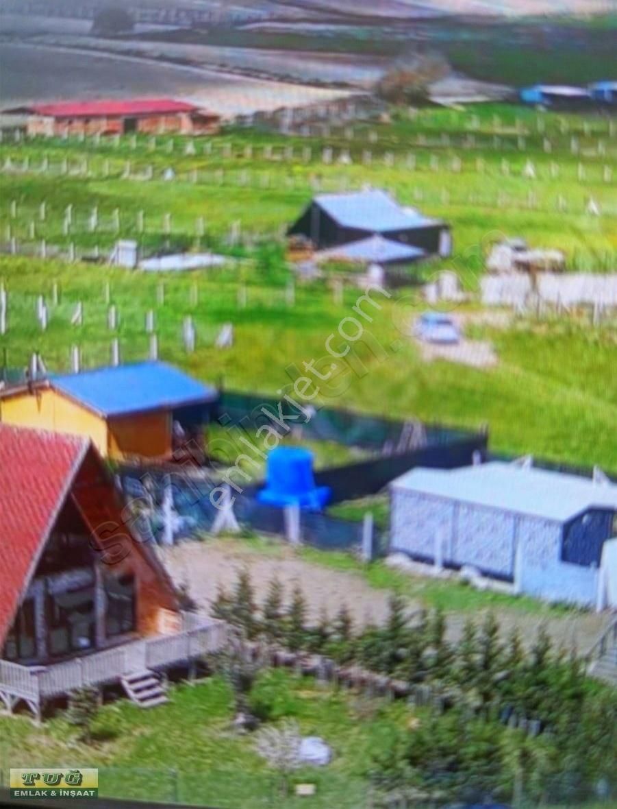 Kestanelikte Konumu Güzel