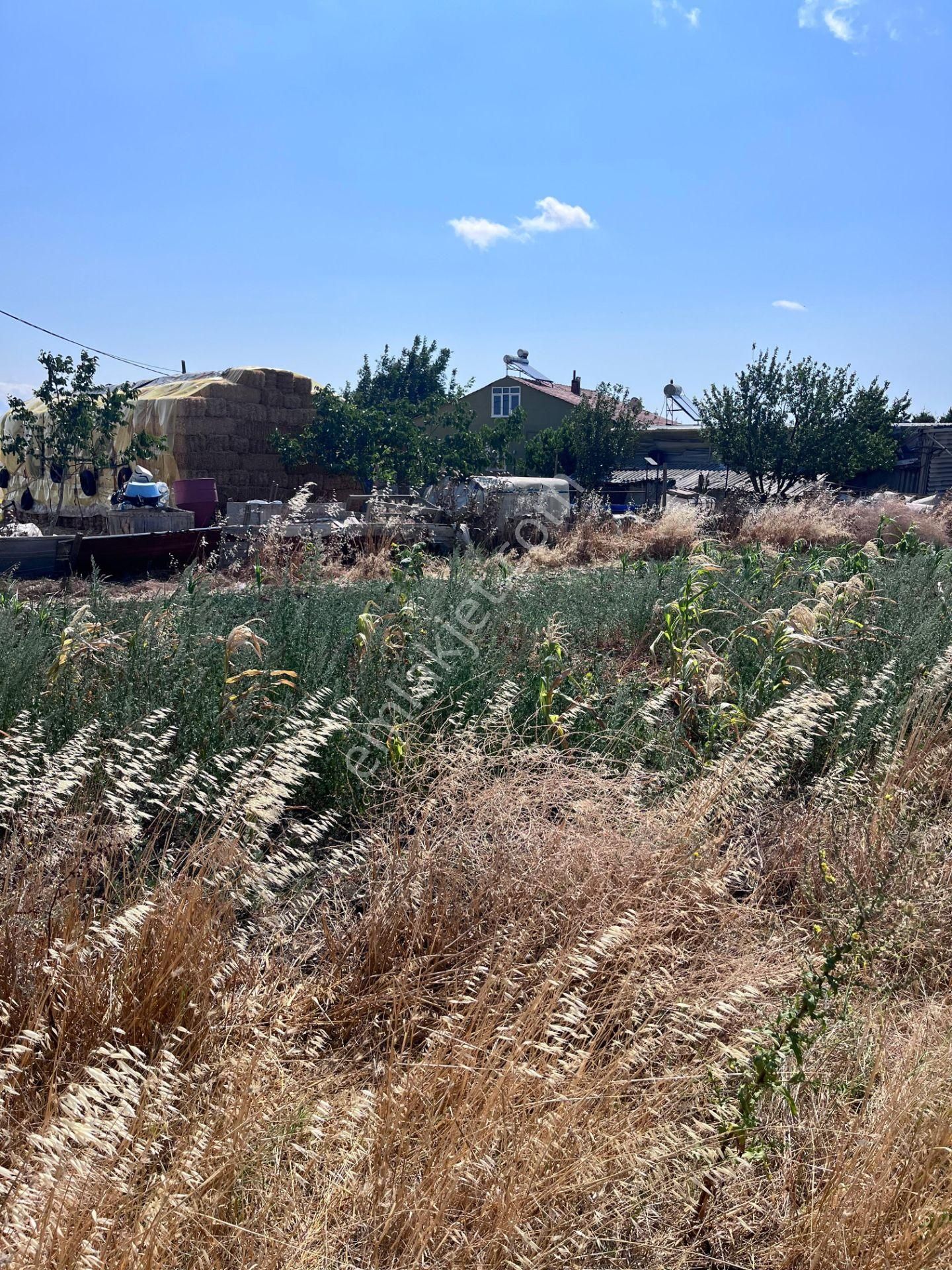 Acill Alipaşada Satılık 671 M2 İmarlı Arsa.... - Görsel 12