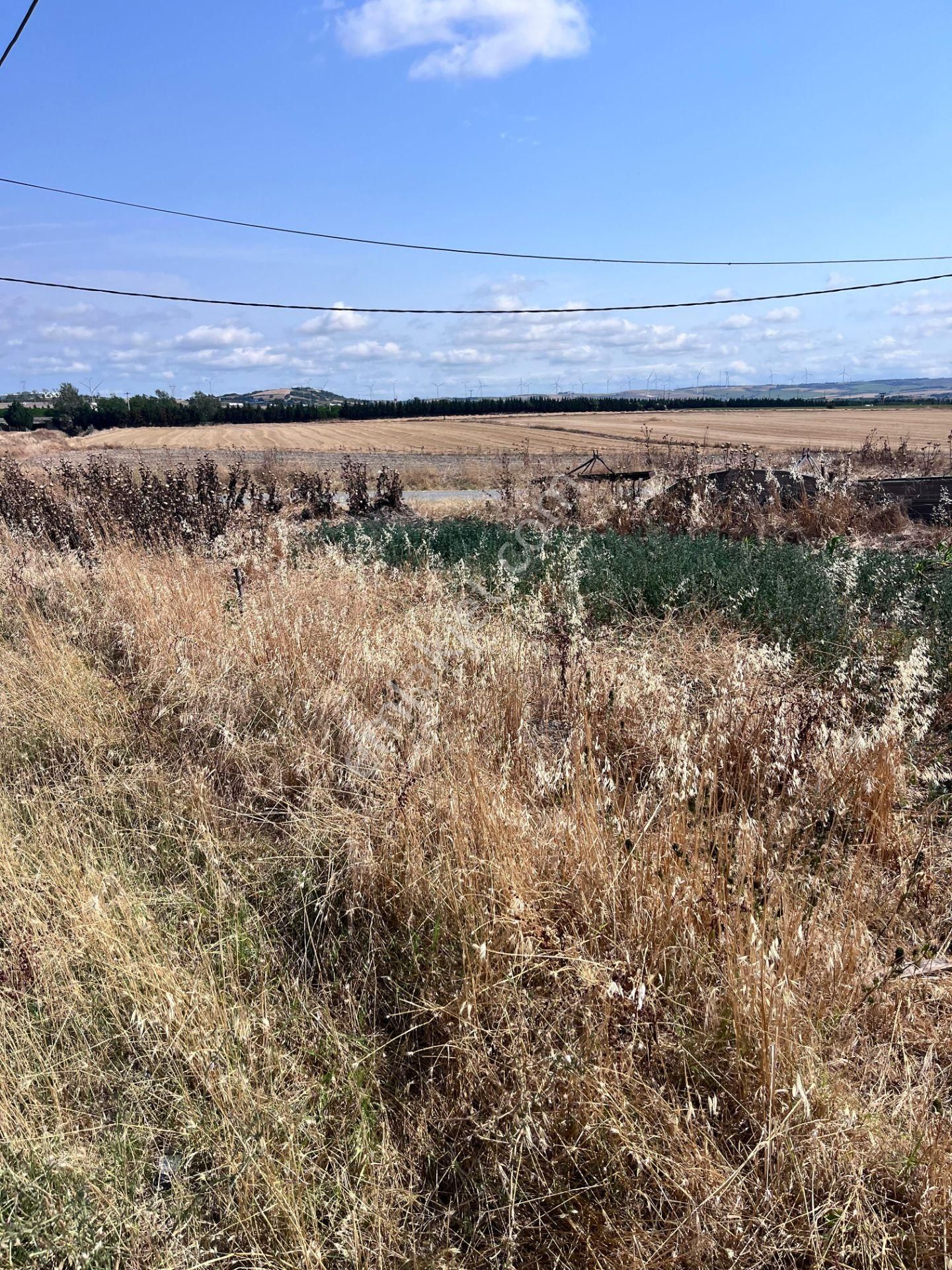 Acill Alipaşada Satılık 671 M2 İmarlı Arsa.... - Görsel 15