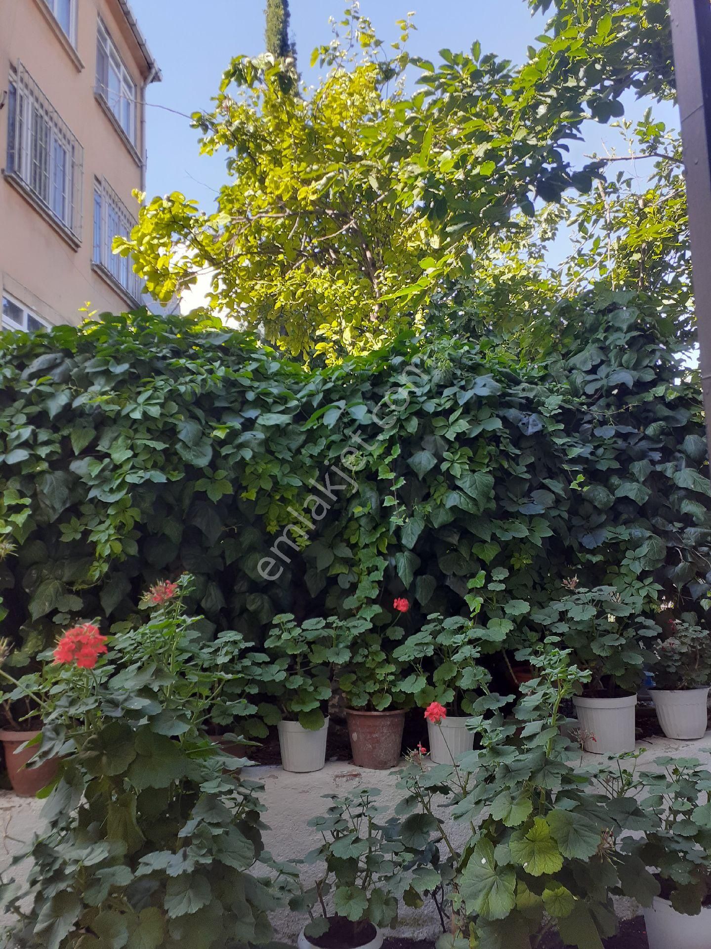 Fatih Kocamustafapaşa Sümbülefendi Yedişehitler Mevkiinde Bahçekatı.. - Görsel 22