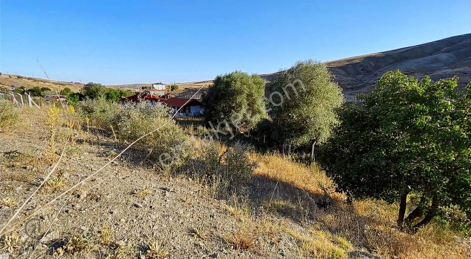 Çankaya Tohumlar Mah. Ana Yola Cephe Satılık Hisseli 1000m2 - Görsel 9