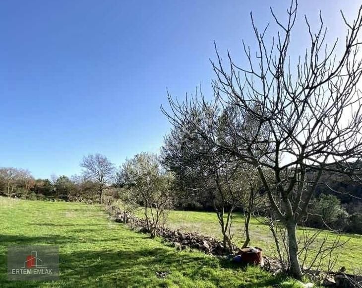 Manisa Yunusemre Satılık Arazi 9300 M2 Köy Yanı Asfalta Sıfır