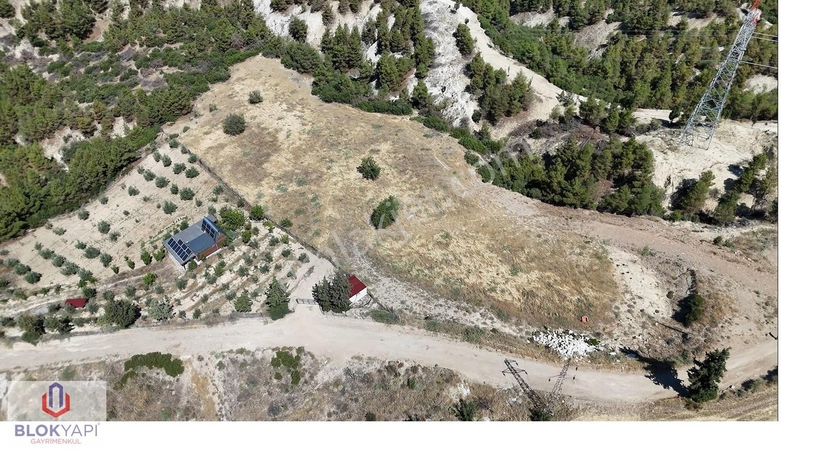 Karakurt'da 6900m2 Harika Yatırım Fırsatı Açıklamayı Okuyun - Görsel 2