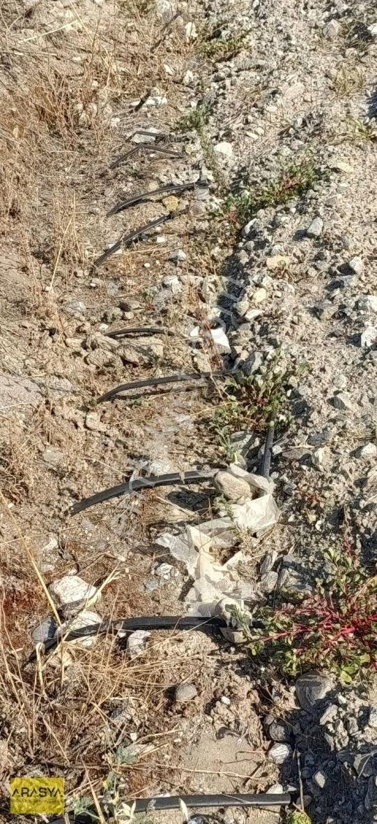 Buharkent Feslek Te İncir Kayısı Bahçesi Elektrik Su Mevcut - Görsel 2