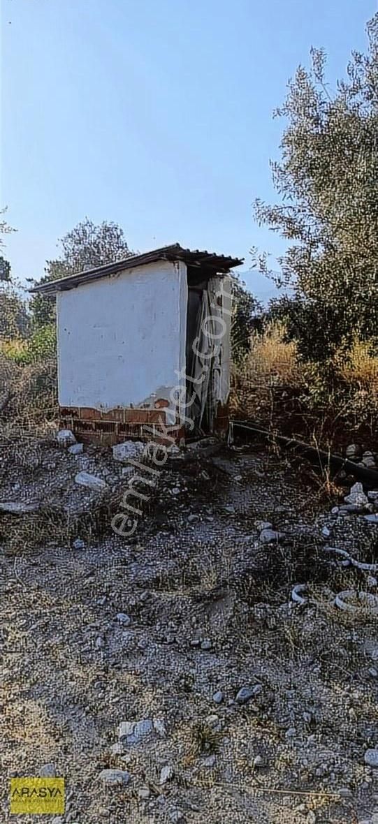 Buharkent Feslek Te İncir Kayısı Bahçesi Elektrik Su Mevcut - Görsel 21