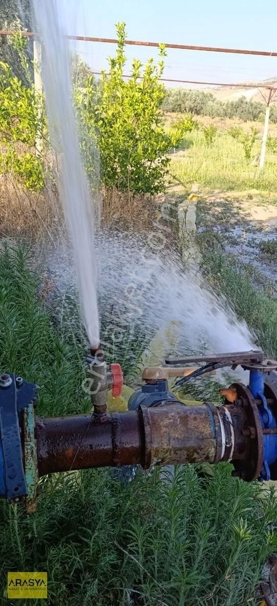 Buharkent Feslek Te İncir Kayısı Bahçesi Elektrik Su Mevcut