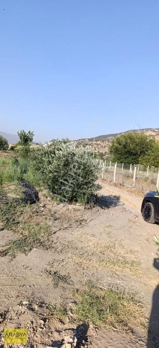 Buharkent Feslek Te İncir Kayısı Bahçesi Elektrik Su Mevcut - Görsel 18