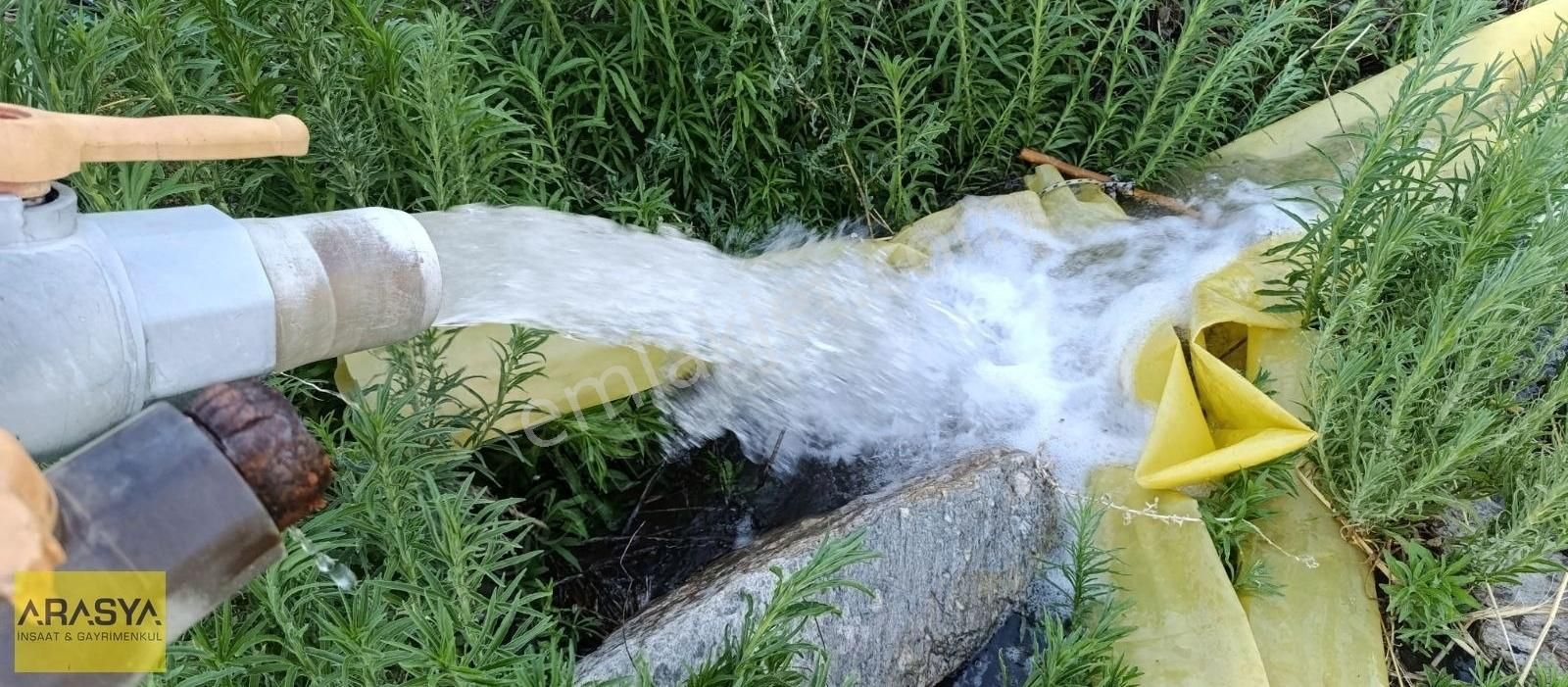 Buharkent Feslek Te İncir Kayısı Bahçesi Elektrik Su Mevcut - Görsel 10