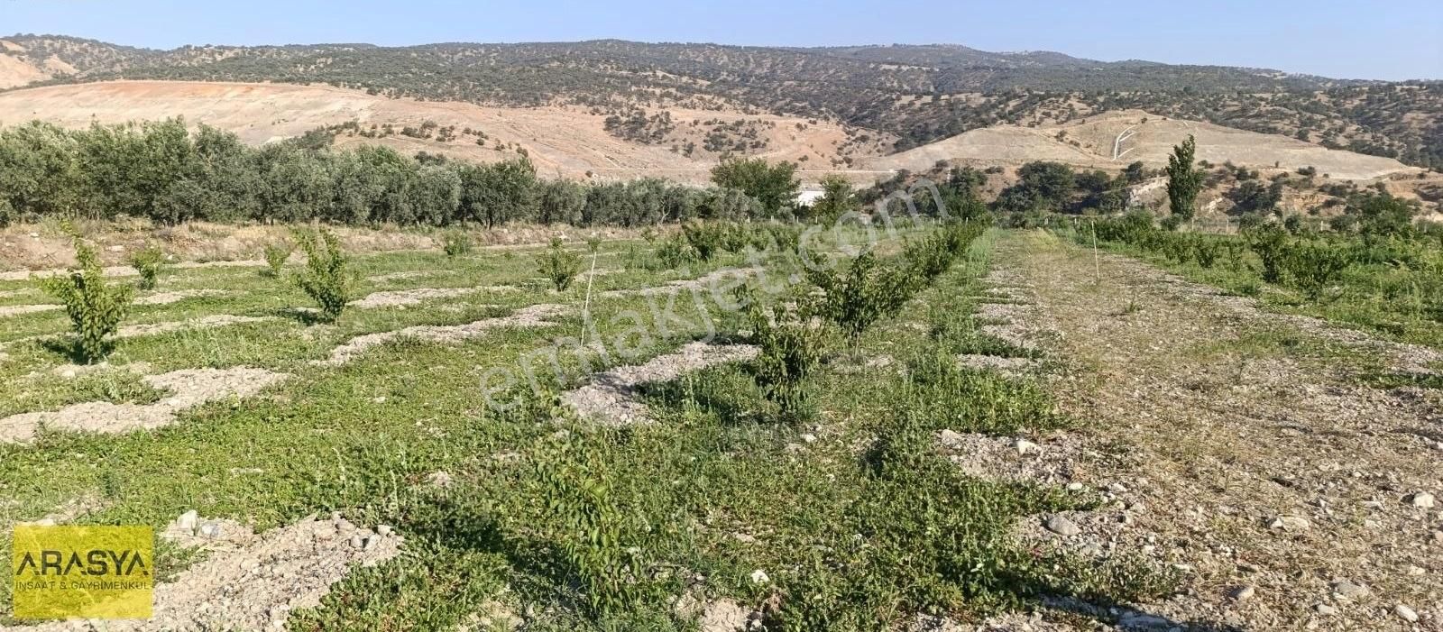 Buharkent Feslek Te İncir Kayısı Bahçesi Elektrik Su Mevcut - Görsel 25