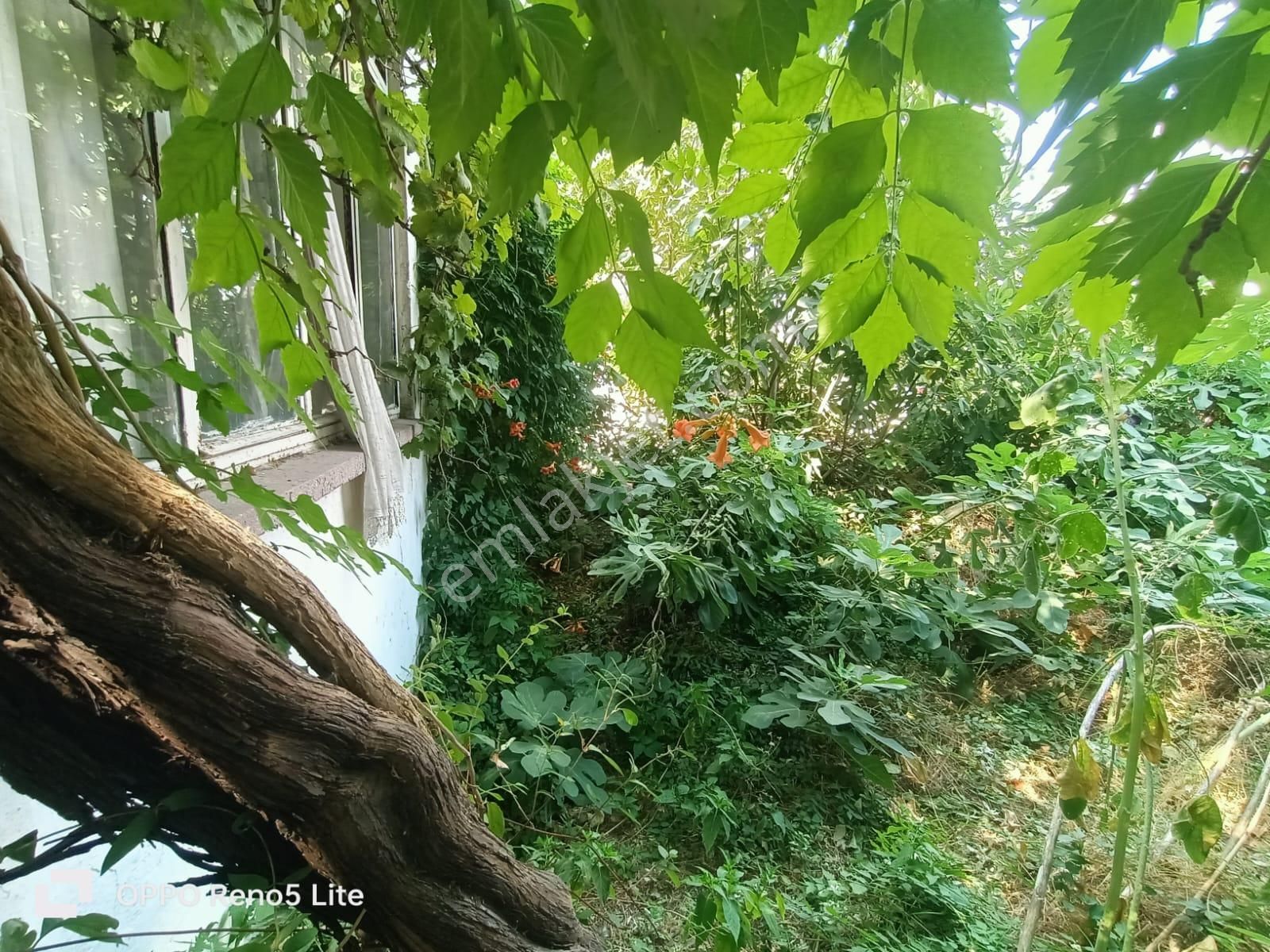 Buse Emlaktan Akçay-güre Arası Müstakil Ev - Görsel 3