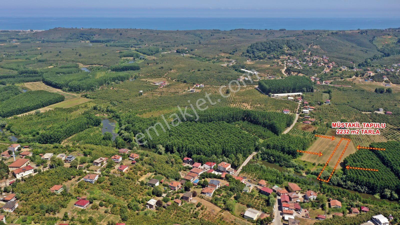 Akçakoca Nazımbey Köyünde 2.232 M2 “resmi Yola Cepheli” İmar Sınırında Satılık Müstakil Tarla - Görsel 6