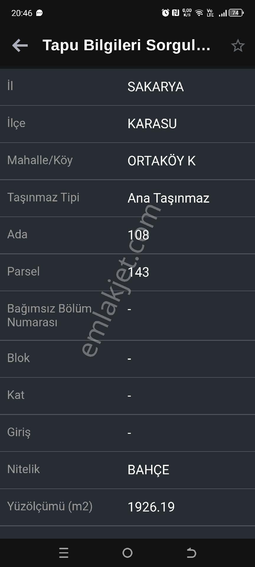 Verimli Fındık Bahçesi - Görsel 5