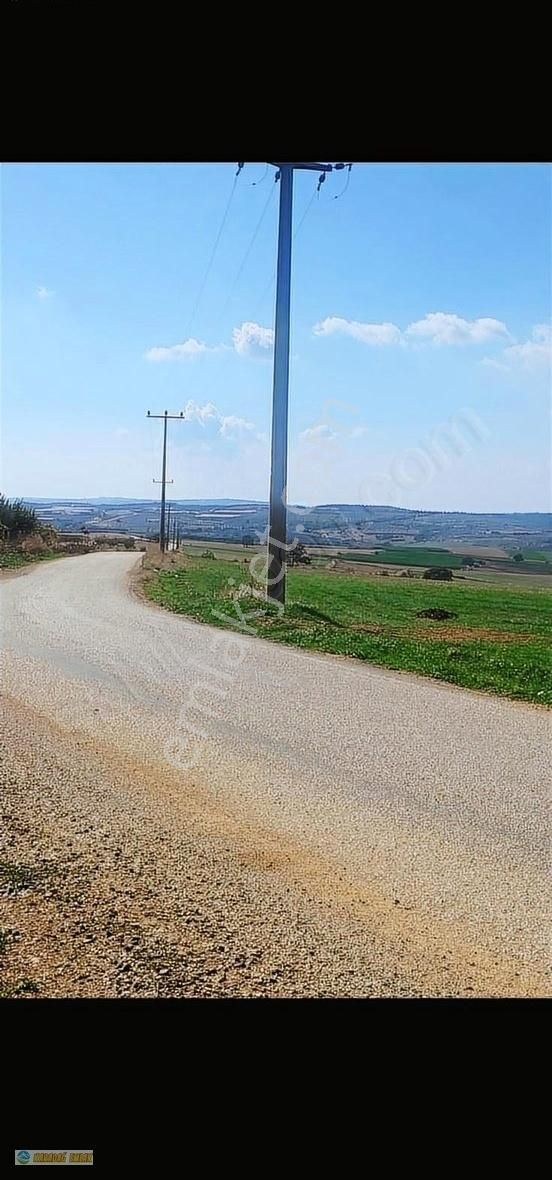 Karadağ Gayrimenkulden Resmi Yola Cephe Köye Yakın Arazi
