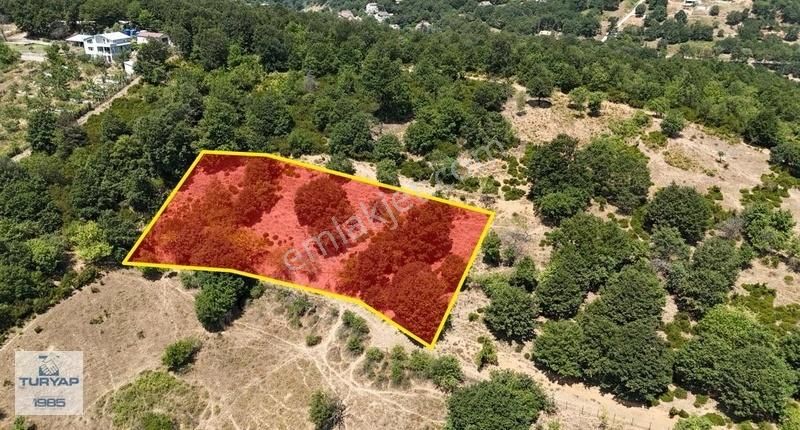 Güneyköy'de Yatırım Fırsatı, Resmi Yola Cephe 2912 M² Tarla