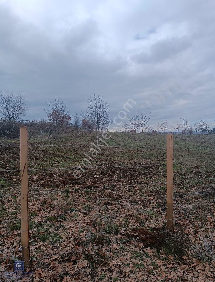 Çanakkale Çan Terzialan Çakmakçayır Mahallesinde Satılık Tarla - Görsel 18
