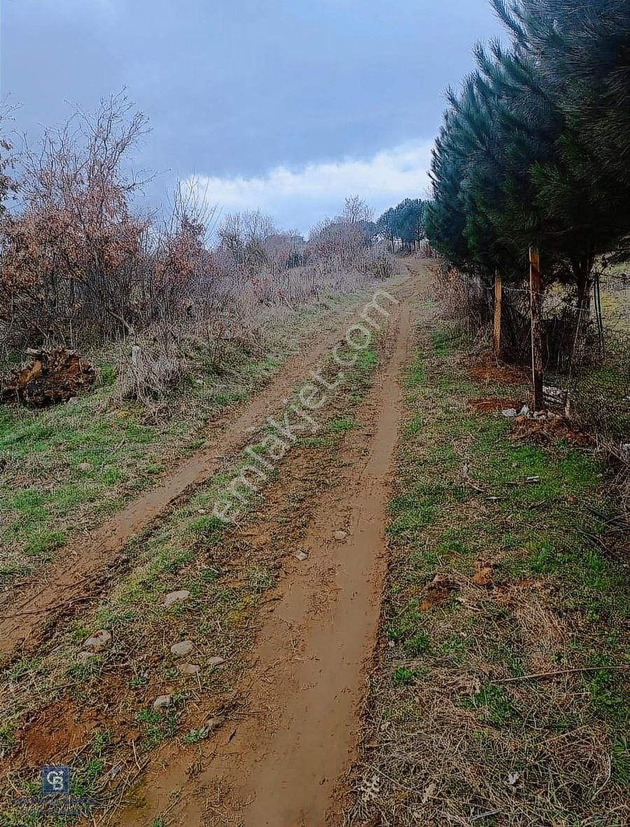 Çanakkale Çan Terzialan Çakmakçayır Mahallesinde Satılık Tarla - Görsel 12