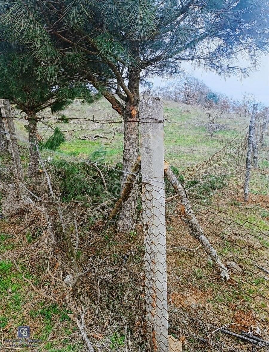 Çanakkale Çan Terzialan Çakmakçayır Mahallesinde Satılık Tarla - Görsel 14