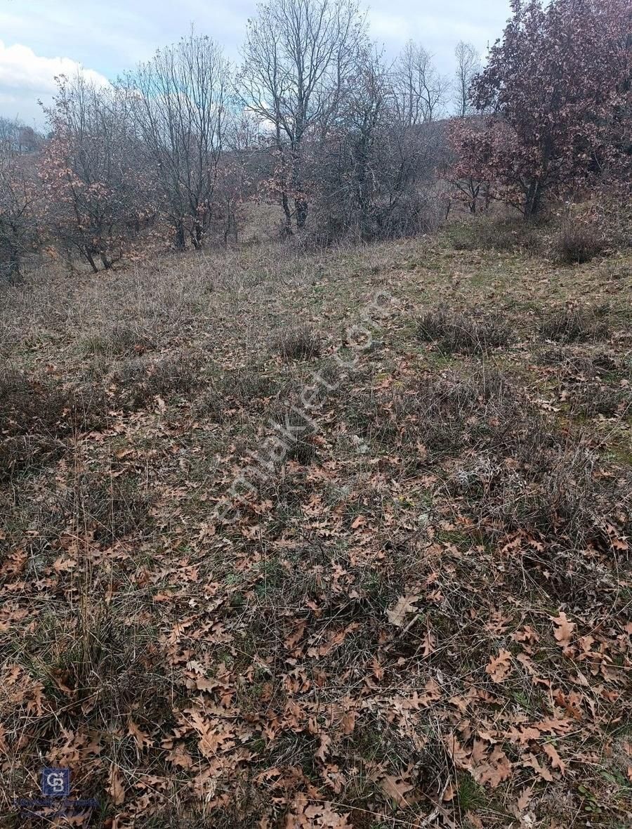 Çanakkale Çan Terzialan Çakmakçayır Mahallesinde Satılık Tarla - Görsel 17