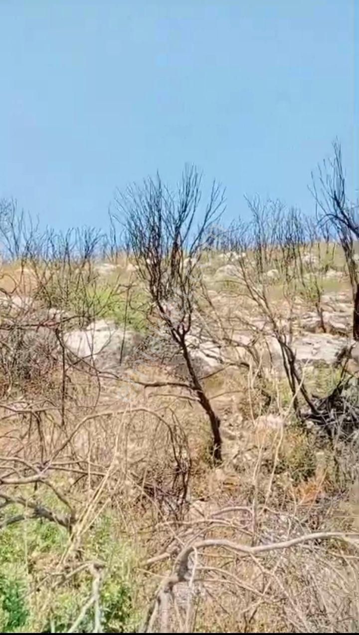 Didim Akarkuyu 'da Kaçırılmayacak Arsa Fırsatı