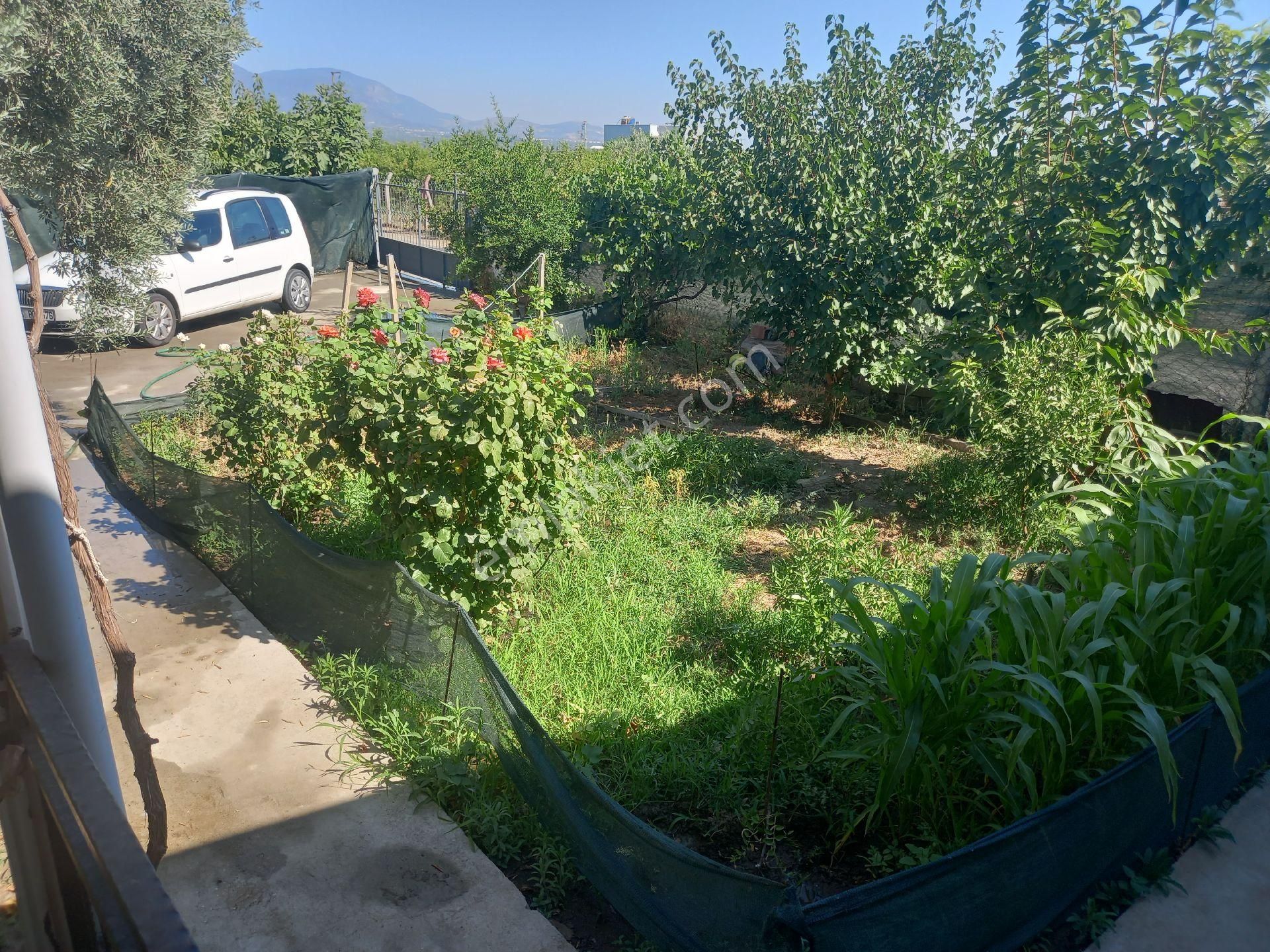 İzmir Kemalpaşa Örende 1600m2 Asfalt Cepheli İçinde 2+1 Ev Bavulunuzu Alıp Geleceksiniz - Görsel 11