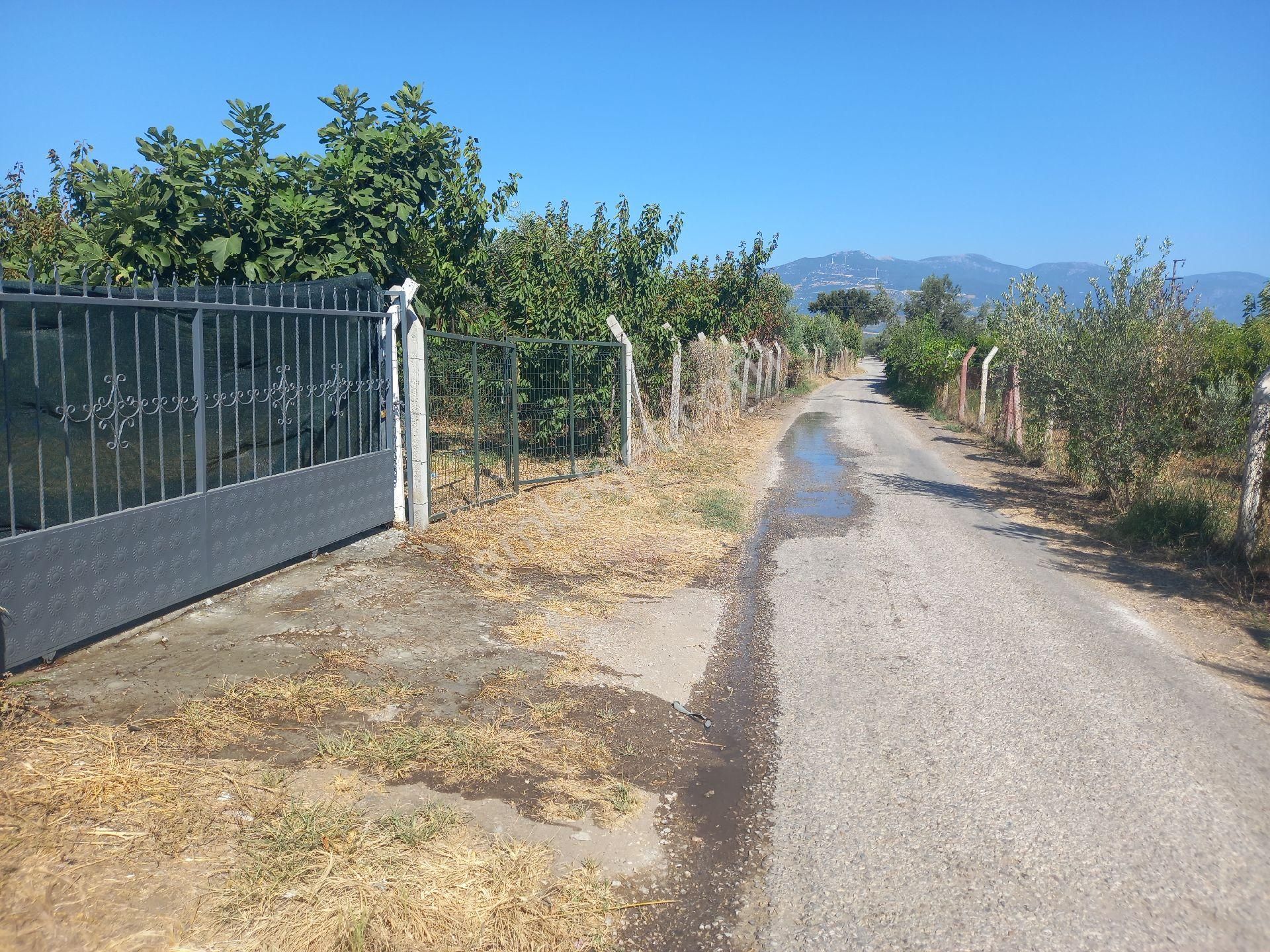 İzmir Kemalpaşa Örende 1600m2 Asfalt Cepheli İçinde 2+1 Ev Bavulunuzu Alıp Geleceksiniz - Görsel 13