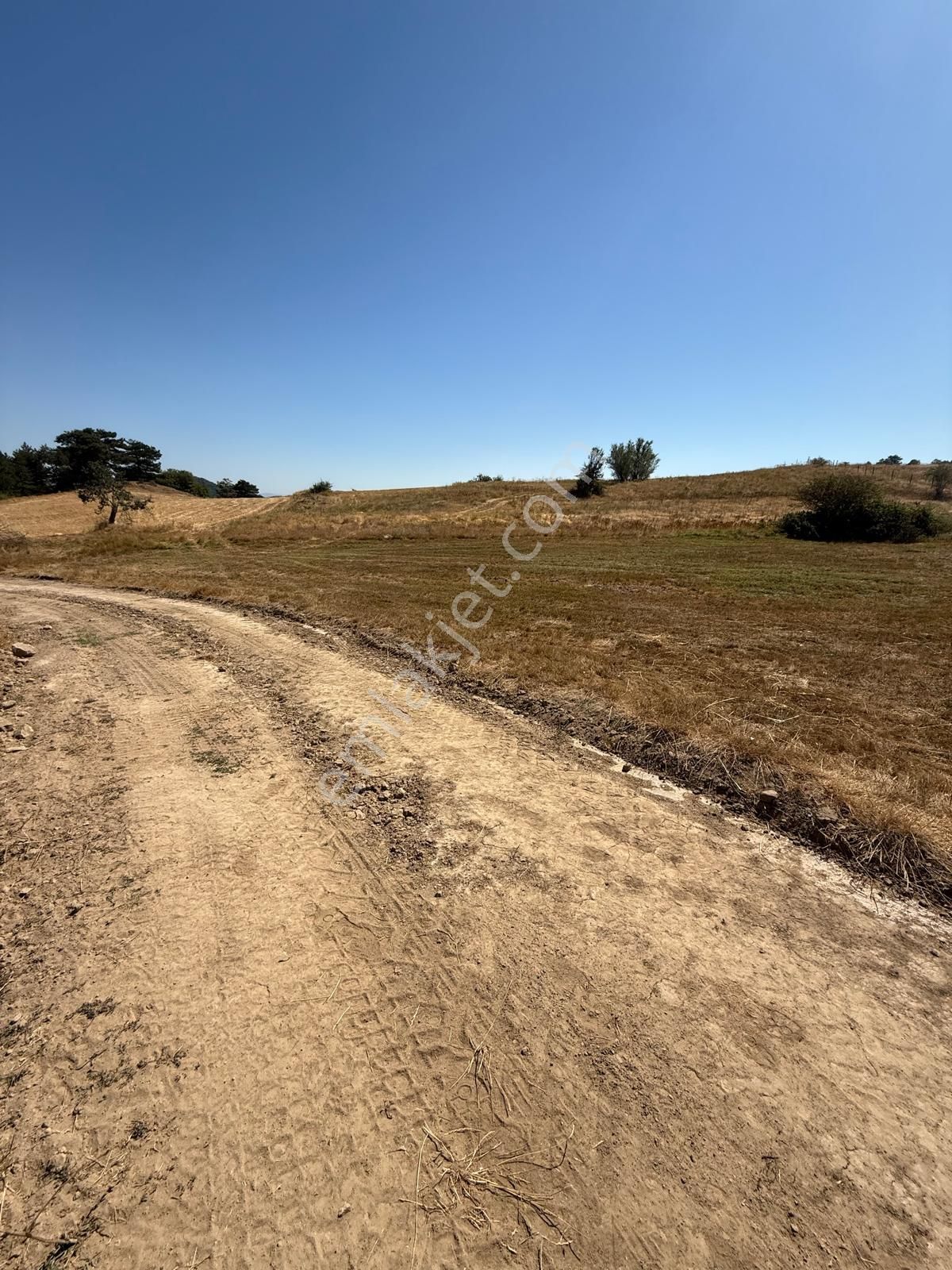 Balıkesir Bigadiç'de 113 M2 Köy İçinde Fırsat Bahçe