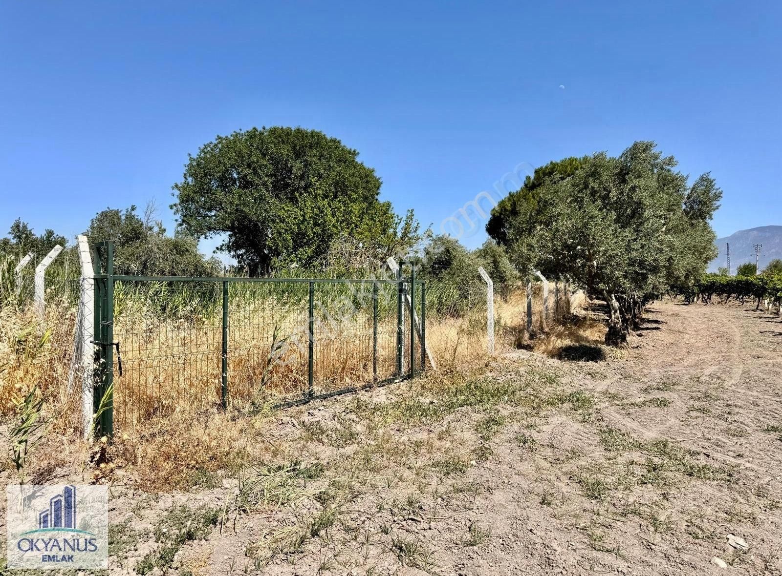 Muradiye De 4.350 M2 Tarla , Telle Çevrili, Yola 75 Mt Cepheli
