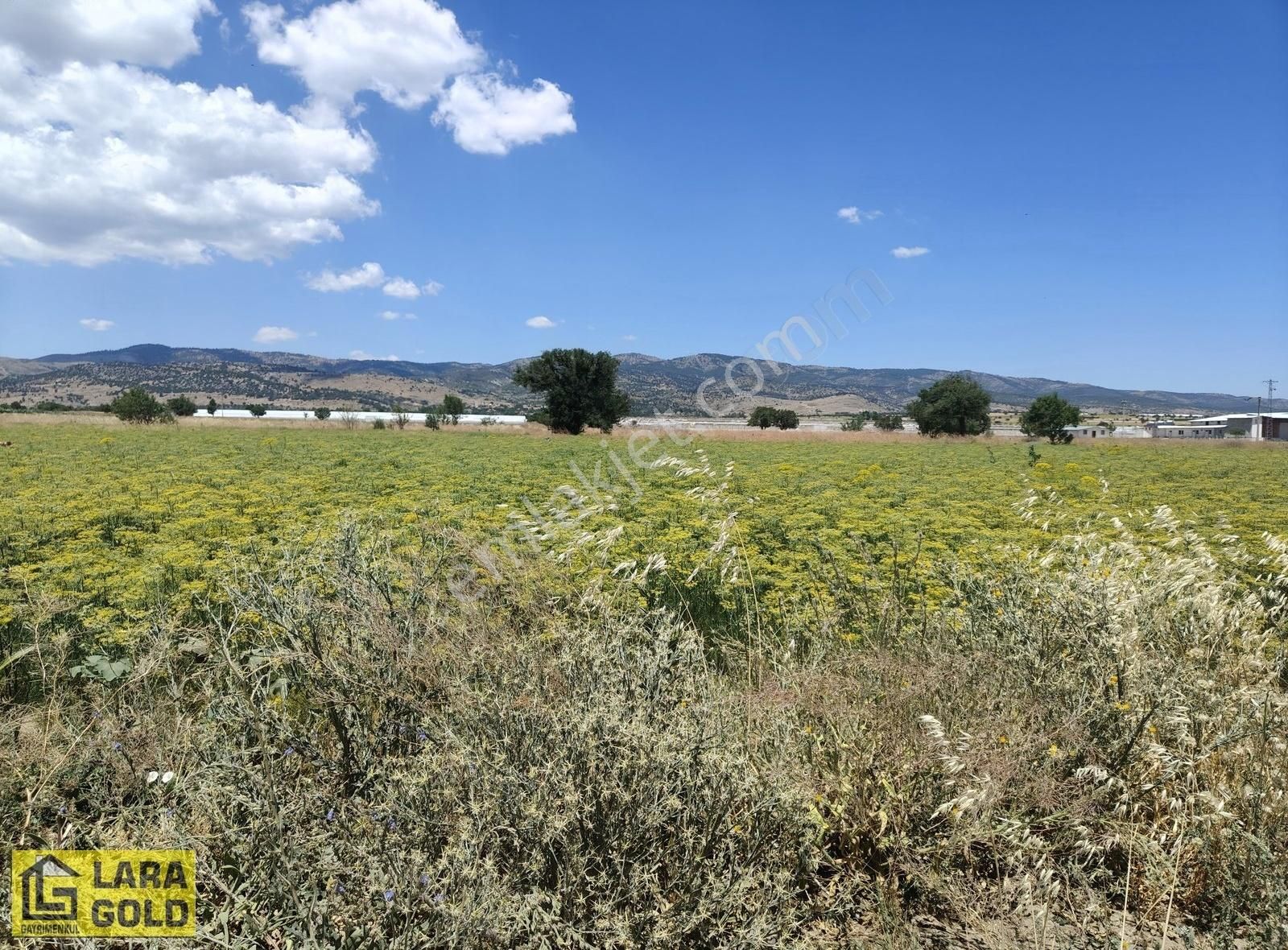 Burdur Tefenni Zafer Mahallesinde Tek Tapu Satılık 5,8 Dönüm Trl - Görsel 3