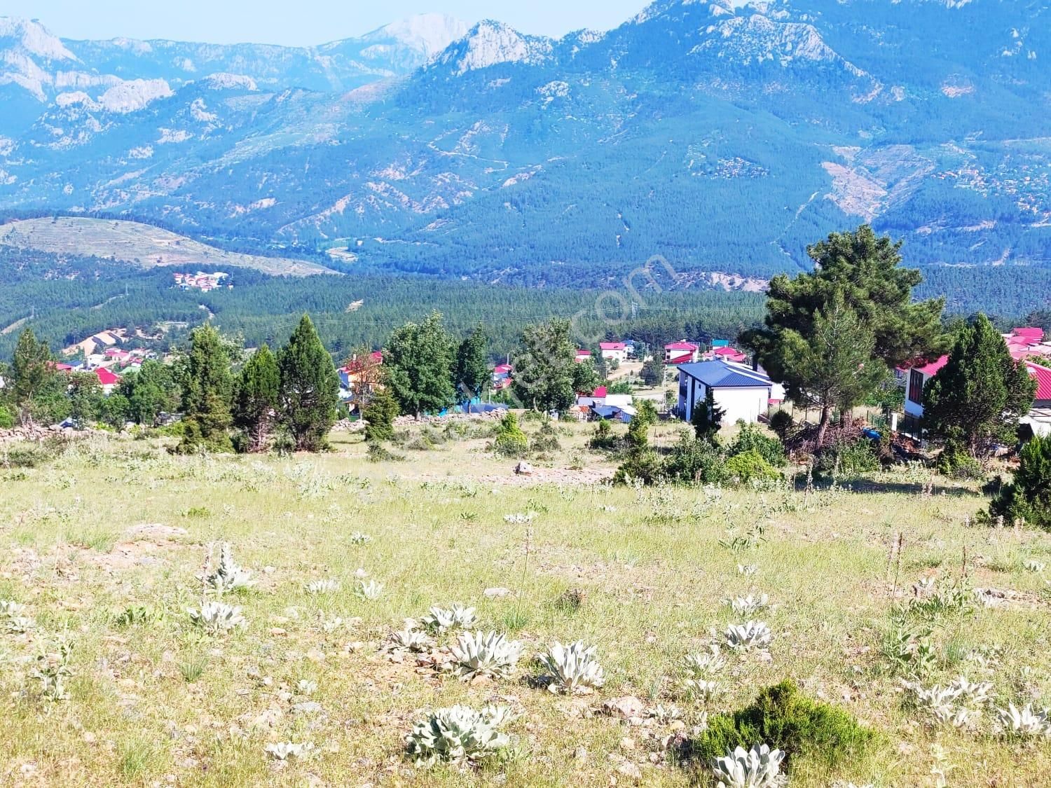 Pozantı Kar Emlaktan Yeni Konacık Yaylası Yüksek Konumlu Doga Manzaralı Satılık 400 M2 Arsa